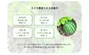 商品画像 9 のサムネイル
