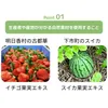 商品画像 4 のサムネイル