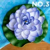 商品画像 12 のサムネイル