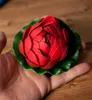 商品画像 5 のサムネイル