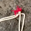 商品画像 2 のサムネイル