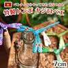 商品画像 1 のサムネイル