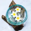 商品画像 10 のサムネイル