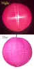 商品画像 24 のサムネイル