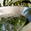 商品画像 6 のサムネイル