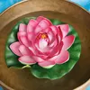 商品画像 9 のサムネイル