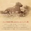 商品画像 16 のサムネイル