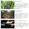 商品画像 9 のサムネイル