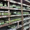 商品画像 10 のサムネイル