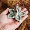 商品画像 7 のサムネイル