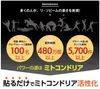 商品画像 10 のサムネイル