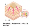 商品画像 3 のサムネイル