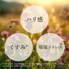商品画像 8 のサムネイル