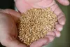 Thumbnail of product image 8