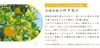 商品画像 6 のサムネイル