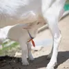 商品圖片 2 縮圖