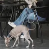 商品画像 10 のサムネイル
