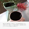 商品圖片 10 縮圖