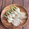 商品画像 1 のサムネイル