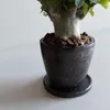 商品画像 7 のサムネイル