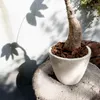商品画像 5 のサムネイル