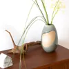 商品画像 7 のサムネイル