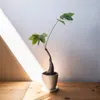 商品画像 5 のサムネイル