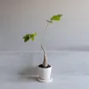 商品画像 7 のサムネイル