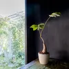 商品画像 7 のサムネイル
