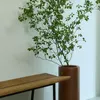 商品画像 9 のサムネイル