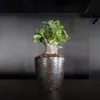 商品画像 6 のサムネイル