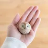 商品画像 5 のサムネイル