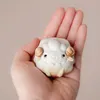商品画像 2 のサムネイル