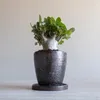 商品画像 5 のサムネイル