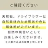 商品画像 9 のサムネイル