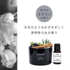 商品画像 3 のサムネイル