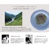 商品画像 10 のサムネイル