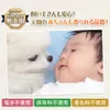 Thumbnail of product image 6