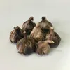 商品画像 4 のサムネイル