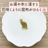商品画像 1 のサムネイル