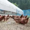 商品圖片 3 縮圖