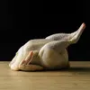 商品圖片 7 縮圖