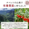 商品画像 4 のサムネイル