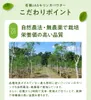 商品画像 9 のサムネイル