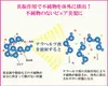 商品画像 4 のサムネイル