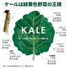 商品画像 3 のサムネイル