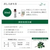 商品画像 6 のサムネイル