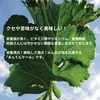 商品画像 7 のサムネイル
