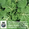 商品画像 8 のサムネイル