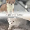 商品画像 4 のサムネイル